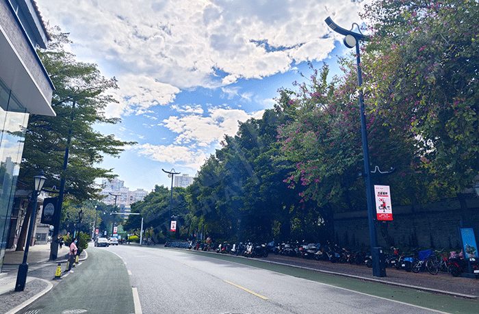 智慧灯杆,雷竞技在哪里下载手机
