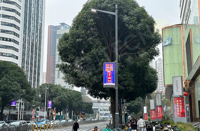 雷竞技在哪里下载手机
